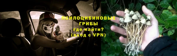 амф Абдулино