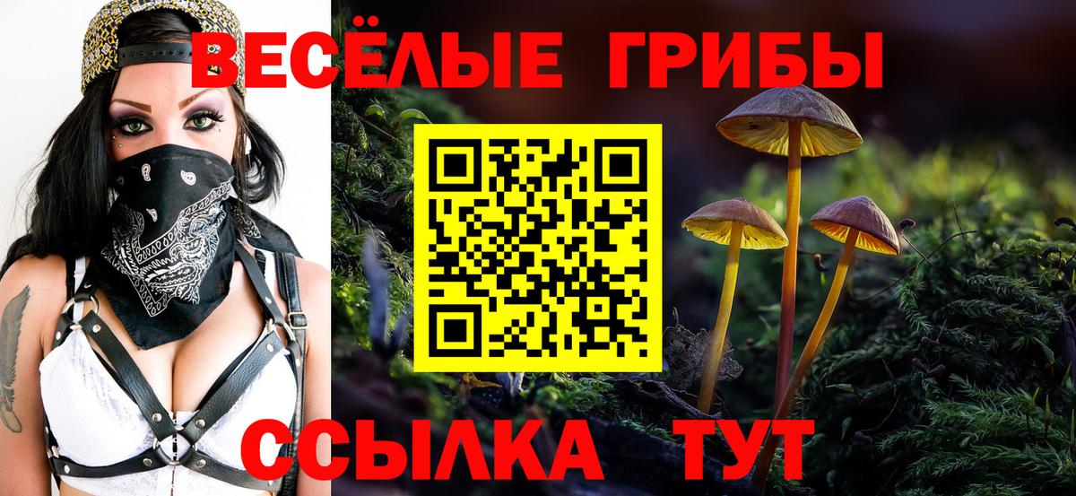 Галлюциногенные грибы мухоморы Хасавюрт