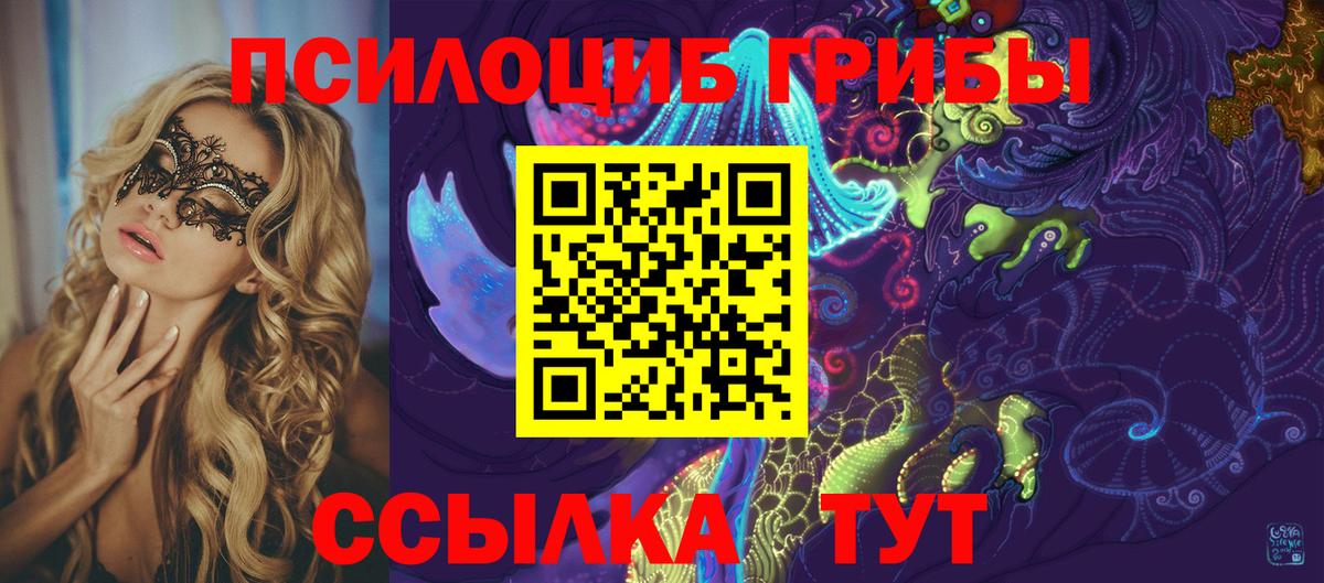 Хасавюрт  Псилоцибиновые грибы Psilocybe  Вход с VPN 